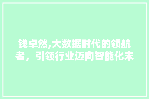 钱卓然,大数据时代的领航者，引领行业迈向智能化未来