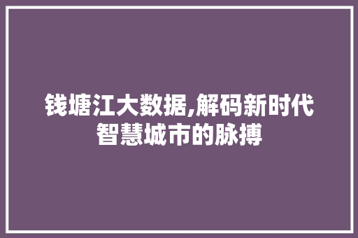 钱塘江大数据,解码新时代智慧城市的脉搏 百度SEO
