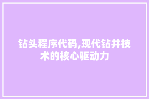 钻头程序代码,现代钻井技术的核心驱动力