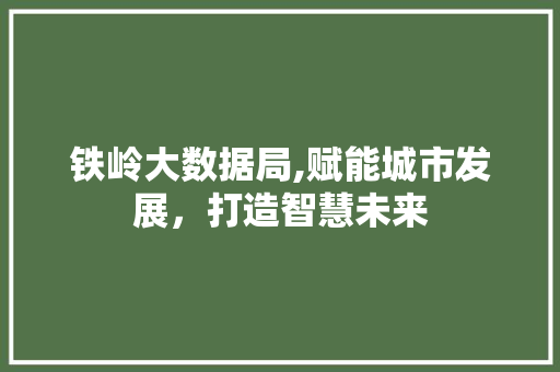 铁岭大数据局,赋能城市发展，打造智慧未来