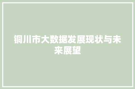 铜川市大数据发展现状与未来展望