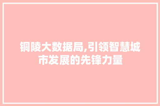 铜陵大数据局,引领智慧城市发展的先锋力量