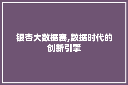 银杏大数据赛,数据时代的创新引擎 搜狗SEO