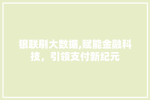 银联刷大数据,赋能金融科技，引领支付新纪元 百度SEO