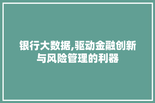 银行大数据,驱动金融创新与风险管理的利器