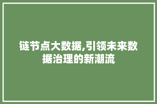 链节点大数据,引领未来数据治理的新潮流 百度SEO