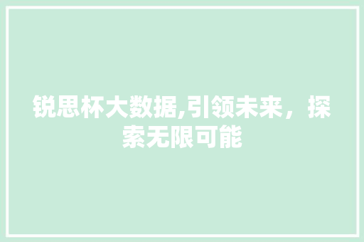 锐思杯大数据,引领未来，探索无限可能 百度SEO