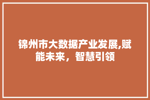 锦州市大数据产业发展,赋能未来，智慧引领 百度SEO