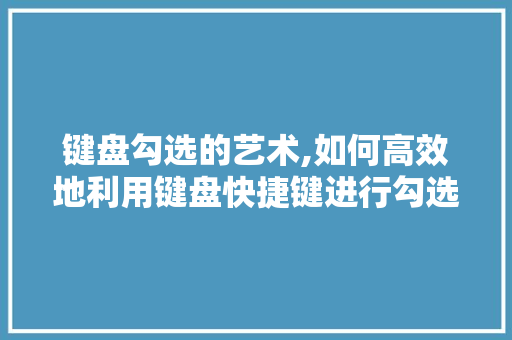 键盘勾选的艺术,如何高效地利用键盘快捷键进行勾选操作