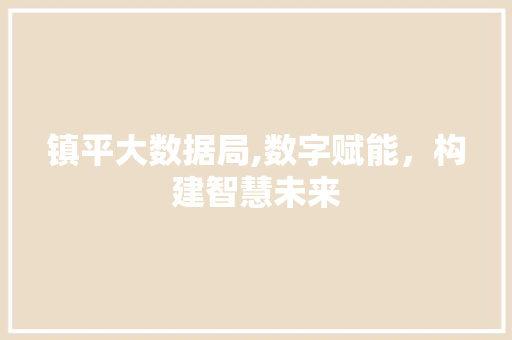 镇平大数据局,数字赋能，构建智慧未来 百度SEO