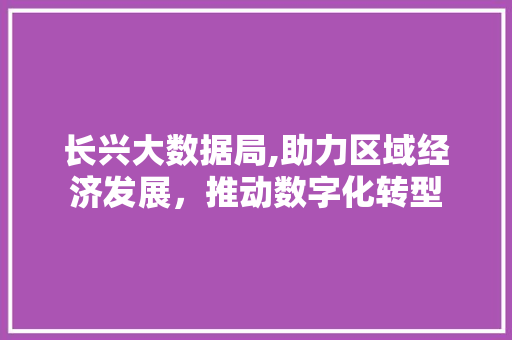 长兴大数据局,助力区域经济发展，推动数字化转型 百度SEO