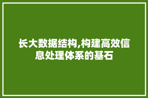 长大数据结构,构建高效信息处理体系的基石