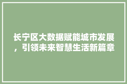 长宁区大数据赋能城市发展，引领未来智慧生活新篇章