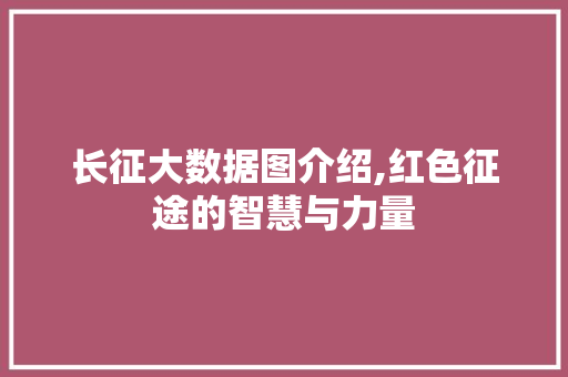 长征大数据图介绍,红色征途的智慧与力量 百度SEO