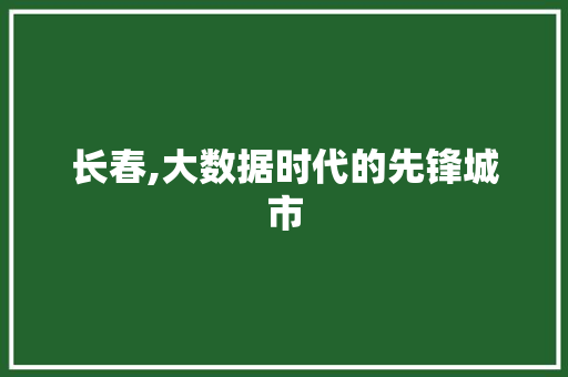 长春,大数据时代的先锋城市