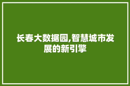 长春大数据园,智慧城市发展的新引擎