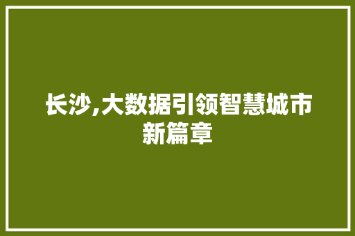 长沙,大数据引领智慧城市新篇章 搜狗SEO