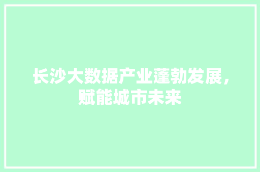 长沙大数据产业蓬勃发展，赋能城市未来 搜狗SEO