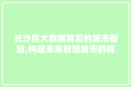 长沙巨大数据背后的城市智慧,构建未来智慧城市的样本