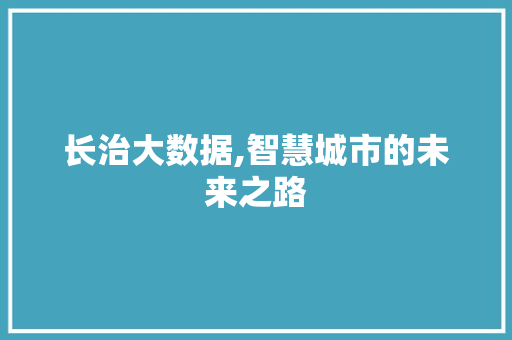 长治大数据,智慧城市的未来之路