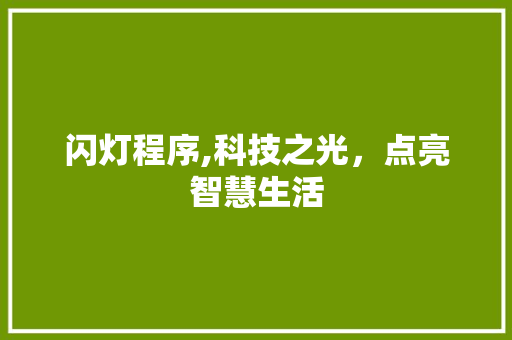闪灯程序,科技之光，点亮智慧生活