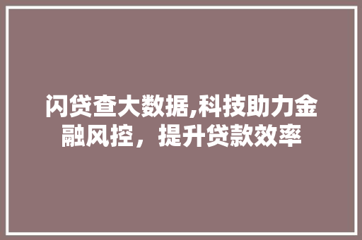 闪贷查大数据,科技助力金融风控，提升贷款效率 百度SEO