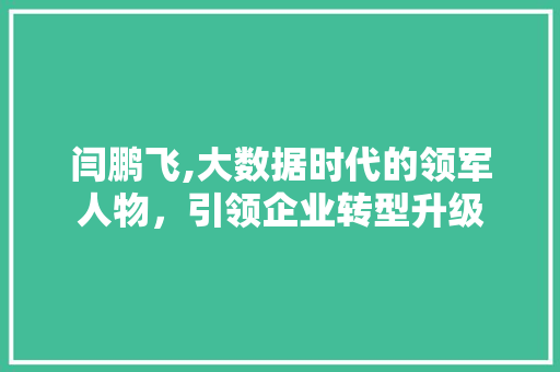 闫鹏飞,大数据时代的领军人物，引领企业转型升级