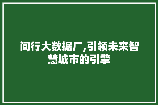 闵行大数据厂,引领未来智慧城市的引擎