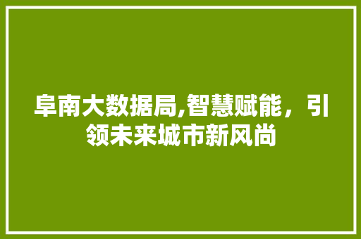 阜南大数据局,智慧赋能，引领未来城市新风尚 百度SEO