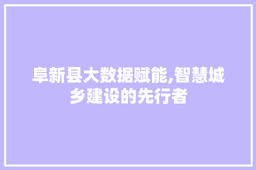 阜新县大数据赋能,智慧城乡建设的先行者