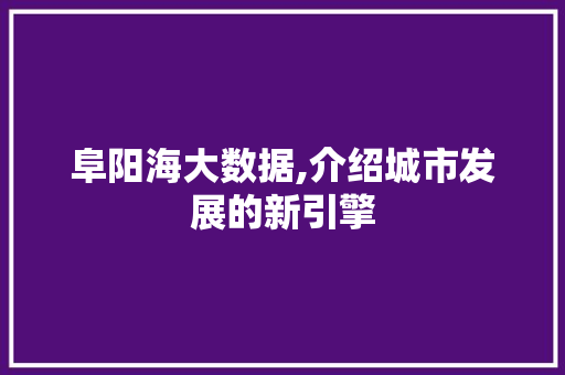 阜阳海大数据,介绍城市发展的新引擎