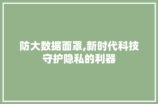 防大数据面罩,新时代科技守护隐私的利器 百度SEO