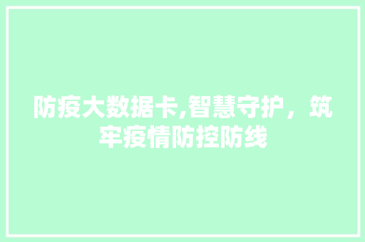 防疫大数据卡,智慧守护，筑牢疫情防控防线 百度SEO