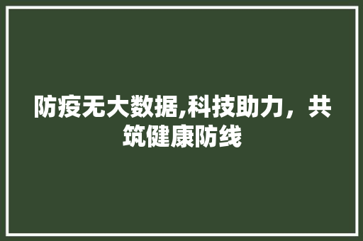 防疫无大数据,科技助力，共筑健康防线 必应SEO