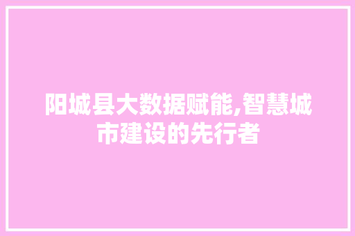 阳城县大数据赋能,智慧城市建设的先行者 搜狗SEO