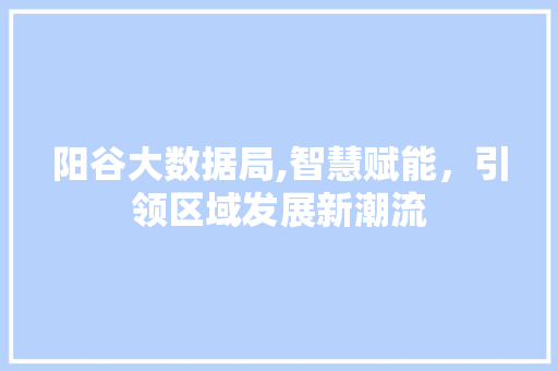 阳谷大数据局,智慧赋能，引领区域发展新潮流 必应SEO