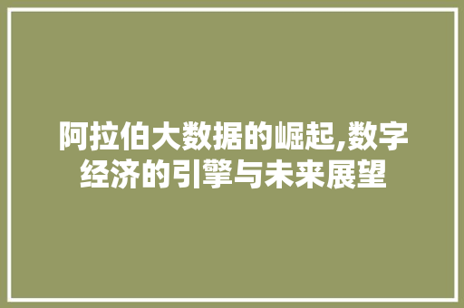 阿拉伯大数据的崛起,数字经济的引擎与未来展望 搜狗SEO