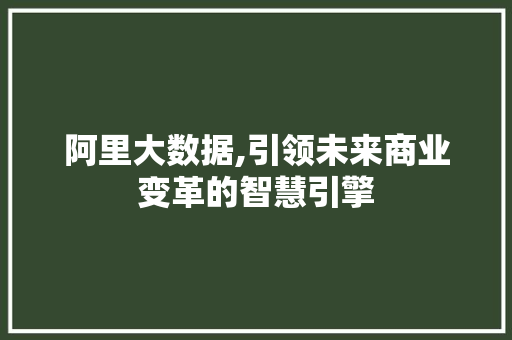 阿里大数据,引领未来商业变革的智慧引擎