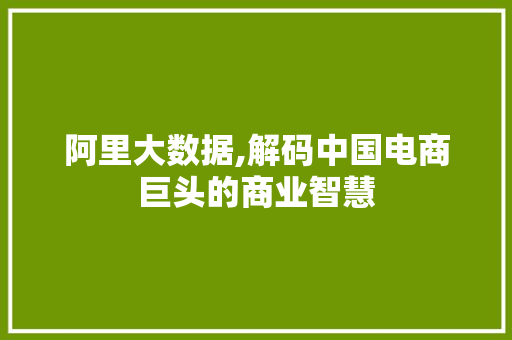 阿里大数据,解码中国电商巨头的商业智慧 必应SEO