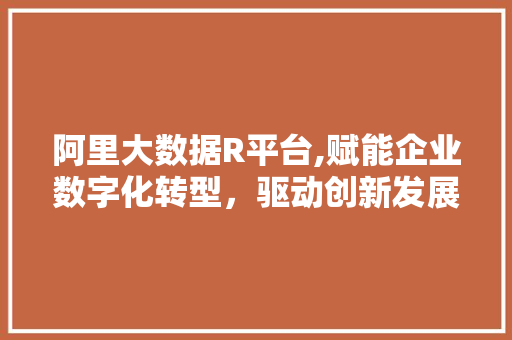 阿里大数据R平台,赋能企业数字化转型，驱动创新发展的引擎