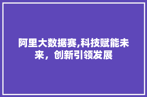 阿里大数据赛,科技赋能未来，创新引领发展