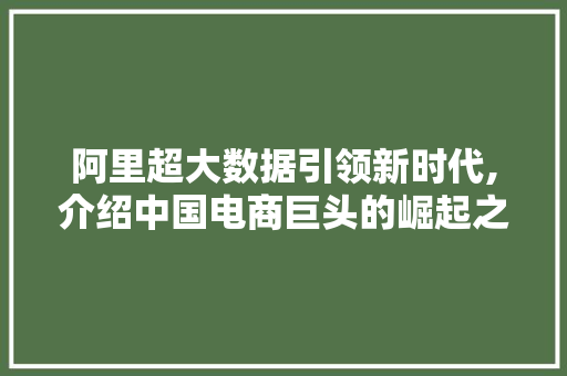 阿里超大数据引领新时代,介绍中国电商巨头的崛起之路 搜狗SEO