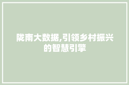 陇南大数据,引领乡村振兴的智慧引擎