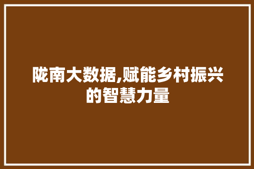 陇南大数据,赋能乡村振兴的智慧力量