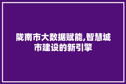 陇南市大数据赋能,智慧城市建设的新引擎 搜狗SEO