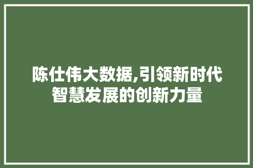 陈仕伟大数据,引领新时代智慧发展的创新力量 百度SEO
