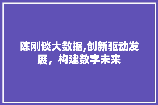 陈刚谈大数据,创新驱动发展，构建数字未来 搜狗SEO
