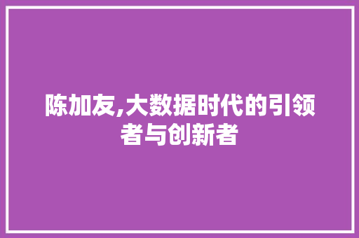 陈加友,大数据时代的引领者与创新者