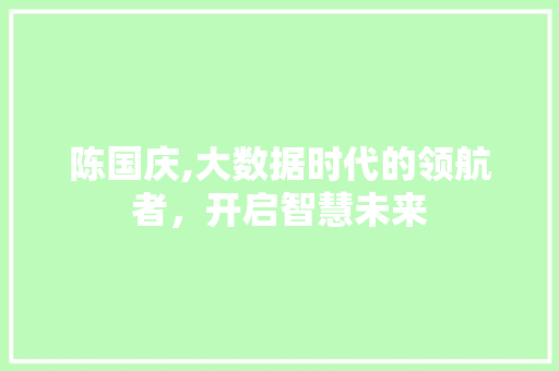 陈国庆,大数据时代的领航者，开启智慧未来 GoogleSEO