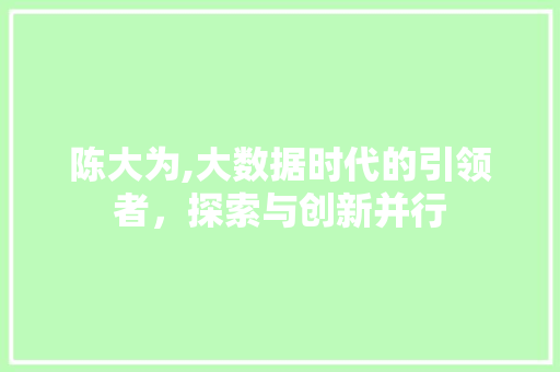 陈大为,大数据时代的引领者，探索与创新并行 搜狗SEO